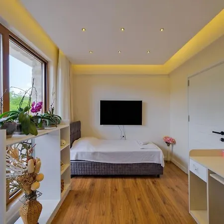 فيلة Modern, Havuzlu Lux